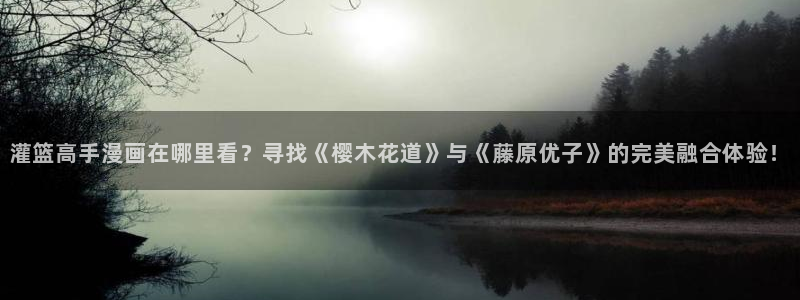 香蕉漫画18：灌篮高手漫画在哪里看？寻找《樱木花道》与《藤原优子》的完美融合体验！