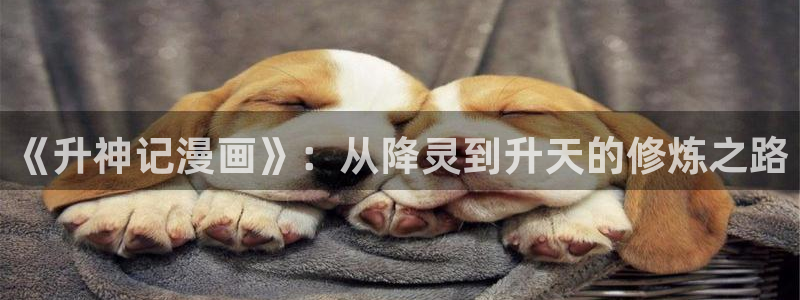 香蕉文化漫画在哪看：《升神记漫画》：从降灵到升天的修炼之路