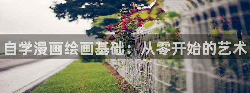 香蕉文化——漫画小说更新快,内容更：自学漫画绘画基础：从零开始的艺术