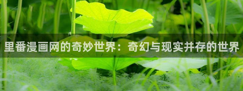 香蕉漫画无遮挡
