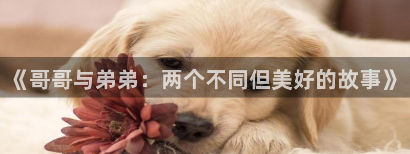 香蕉文化免费下拉式漫画书