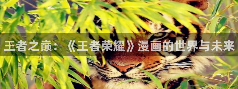 香蕉在线观看视频