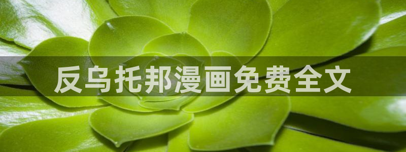 香蕉漫画网入口
