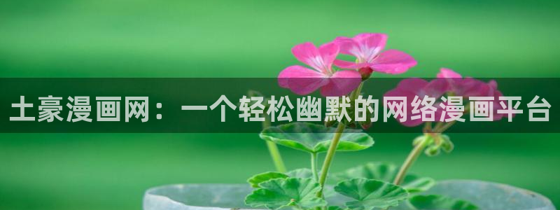 香蕉文化怎么免费读漫画：土豪漫画网：一个轻松幽默的网络漫画平台