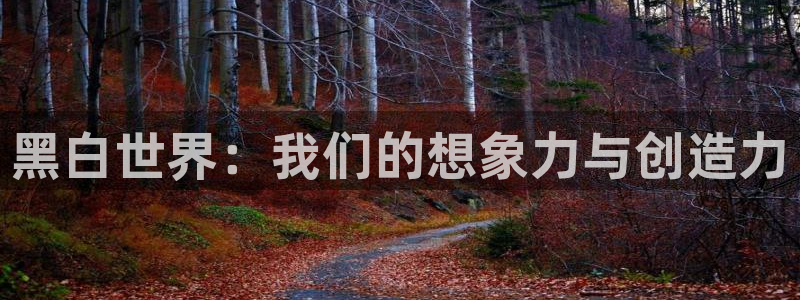 香蕉漫画免费读漫画网下拉式漫画之家：黑白世界：我们的想象力与创造力